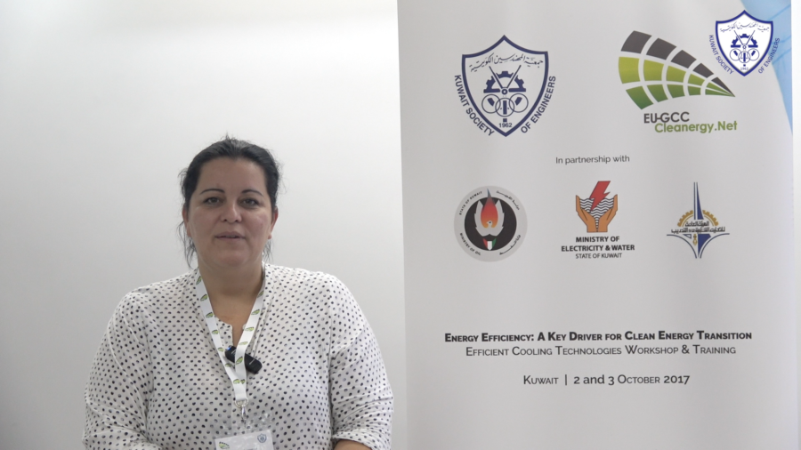 لقاء مع أليس كوروفيسي عن ورشة كفاءة الطاقة وتكنولوجيا التبريد