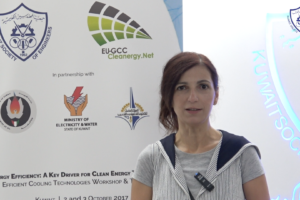 لقاء مع لوانا ماكروني عن ورشة كفاءة الطاقة وتكنولوجيا التبريد